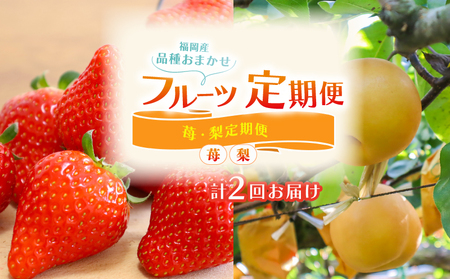 [先行予約] フルーツ定期便 選べる回数 2回 梨 あまおう FRTT