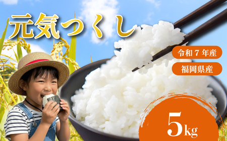 元気つくし 5kg 令和7年産 お米 米 こめ TJI