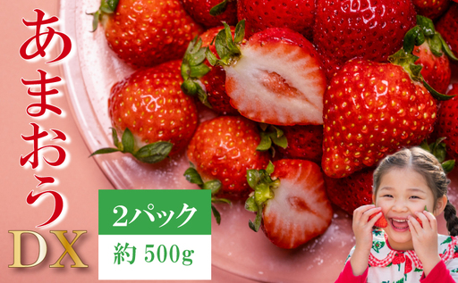 [2026年12月発送]先行予約 福岡県産 いちご あまおう 約250g×2P (約500g) |苺 イチゴ KBY