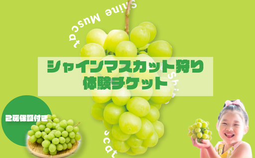 シャインマスカット狩り チケット|シャインマスカット マスカット RYE