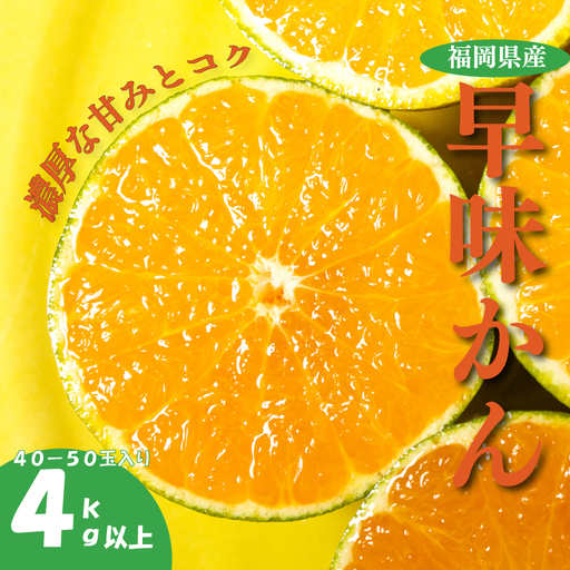 福岡県産 早味かん M・Sサイズ 約4kg以上(40玉-50玉入り)|みかん 早味かん KBY