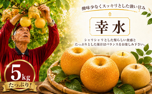[2026年8月初旬頃発送] 梨 5kg 幸水 梨 IDG