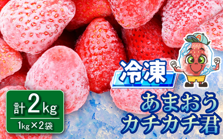 冷凍 あまおう カチカチ君 (1kg×2袋) 冷凍あまおう いちご 苺 冷凍いちご スムージー ジャム 削り氷 デザート3W14