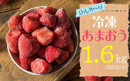 2L1-S[冷凍]博多 あまおう 1.6kg(800g×2袋)