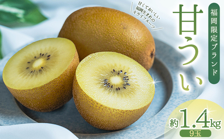 福岡県産 キウイ 甘うぃ 約1.4kg (9玉) キウイ キウイフルーツ kiwi 果物 フルーツ 送料無料 3W25