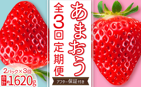 [ あまおう 定期便 全3回]福岡県産あまおう 約270g 前後 ×2パック いちご イチゴ 福岡限定 ブランド 果物 フルーツ ストロべリー スイーツ ケーキ パフェ スムージー ジャム 国産 福岡県 お取り寄せ 送料無料 3W27