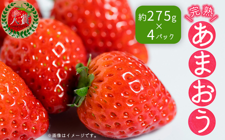 暖家のいちご 完熟あまおう (約275g×4パック) 4H4-S