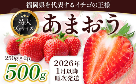 福岡県産 あまおう 約500g前後(約250g×2)1月〜3月発送 3KC2