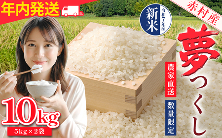 赤村産米 農家直送 [数量限定] 精米 夢つくし (年内発送) 10kg 4U1