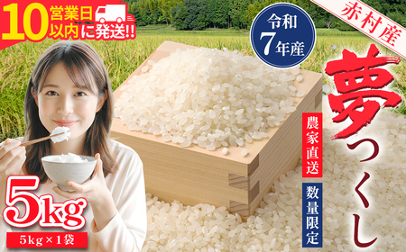 [10営業日以内に発送] 赤村産米 農家直送 [数量限定] 精米 夢つくし 5kg 4U2