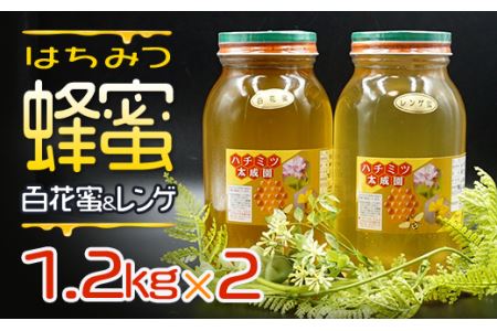 蜂蜜(レンゲ蜜1.2kg、百花蜜1.2kg)セット K2