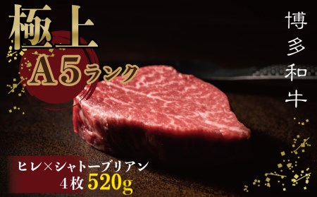 極上博多和牛 ヒレ × シャトーブリアン ステーキ （A-5等級） 冷凍520ｇ 3NA7