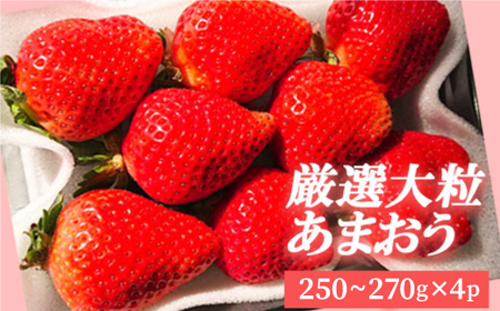I嗱܂i4pbNj 3SA2