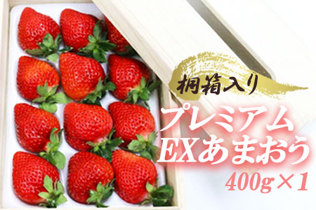 ティッシュボックス用特別仕様の桐箱入りプレミアムあまおう　あまおうEX400g×1パック 3SA3