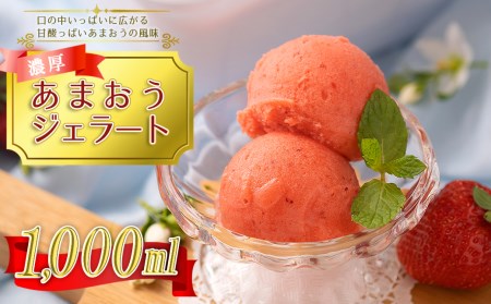 4A9 採れたて!福岡産濃厚あまおうジェラート 1000ml