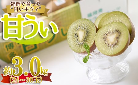 !uhLECuÂ(܂)v3kg(24-30) 4A21