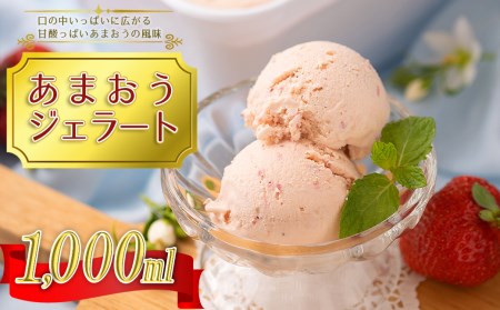 4A11 こだわり!福岡産あまおうジェラート1000ml