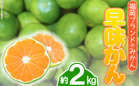 福岡ブランドみかん・早味かん約2kg 4A16
