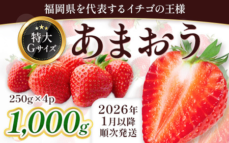 Y ܂ 1000gOi250g×4j1`3 3KC1