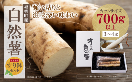  オラの自然薯すり鉢セット(カットもの 700g以上) 野菜 グルメ 取り寄せ ご当地 特産 産地 直送人気 オススメ 自然薯 じねんじょ じねんじょ 