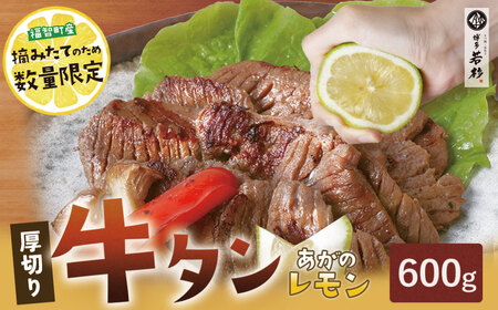  厚切り 牛タンステーキ 塩レモン(600g) あがのレモン付き たんもと たんなか 焼肉 牛肉 味付け肉 BBQ 簡単 冷凍 大人気 家庭用 手軽 送料無料 福智 [wksg01] [fukuchi00]