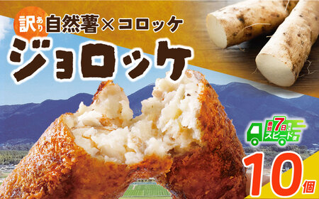 W19-09 じねんじょコロッケ ジョロッケ 10個セット 自然薯  【speedf】