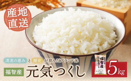  福智町産ブランド米(元気つくし 5kg)お米 米 こめ コメ ブランド米 白米 人気 おすすめ 元気つくし げんきつくし 福岡県産米 食料品 日常 [IGTF] [fukuchi00]