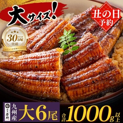 Z61-73R01 寄附額改定↓↓ 丑の日7/25までにお届け 国産 うなぎ 蒲焼大サイズ6尾（計1000g以上）うなぎ 丑の日