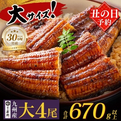 Z61-72R01 寄附額改定↓↓ 丑の日7/25までにお届け 国産 うなぎ 蒲焼大サイズ4尾（計670g以上）うなぎ 丑の日