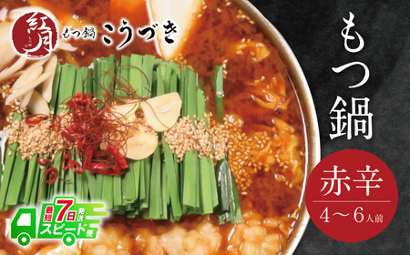 W64-08 こうづき もつ鍋(赤辛味噌)4～6人前 最短7営業日発送