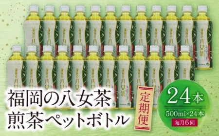  福岡の八女茶 煎茶ペットボトル(24本)定期便(毎月×6回) [SHINWN] [fukuchi00]