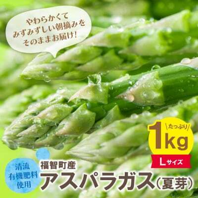 Z18-22-02 寄附額改定↓↓ 清流・有機肥料使用 アスパラガス(夏芽) 1kg(L)  【2026年6月より順次出荷】