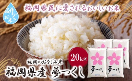 U17-19-01  20kg yFJSz yfukuchi00z