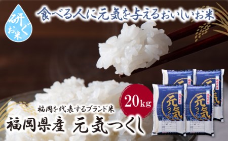 W17-27 yVāzߘa7NY  C20kg yFJSz yfukuchi00z