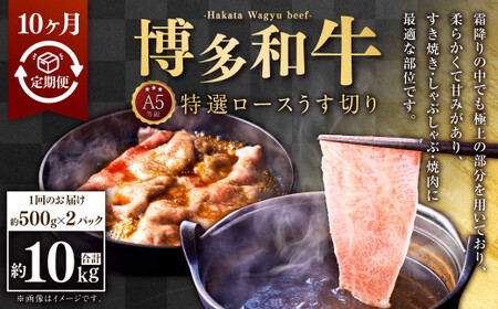 y10ցzA5 aI[X؂ (500g×2pbN)