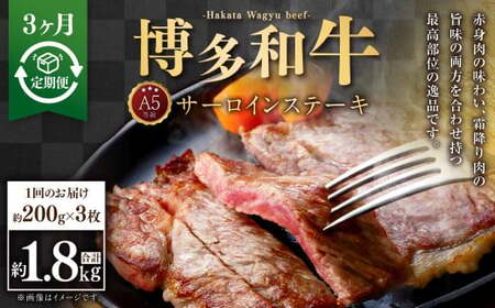 y3ցzA5 aT[CXe[L 200g×3