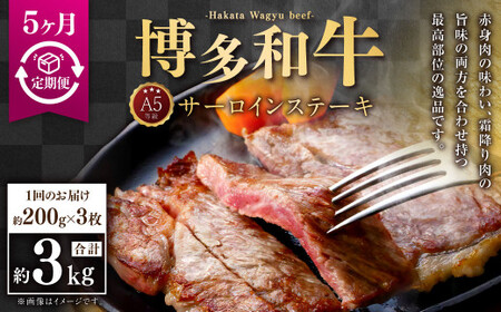 y5ցzA5 aT[CXe[L 200g×3