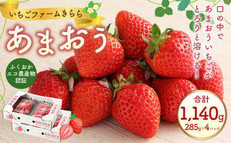 あまおう 約1140g 約285g×4パック いちごファームきらら いちご イチゴ 苺【ふくおかエコ農産物認証】【2026年2月上旬～3月下旬発送予定】