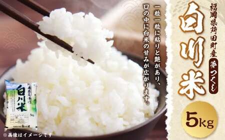 [新米先行予約]白川米 ( 夢つくし ) 5kg お米 白米[2025年10月下旬から順次発送予定]