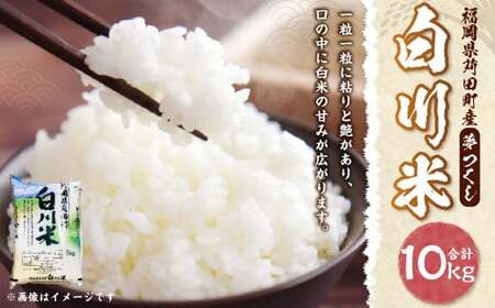 yVĐs\z (  ) v10kgi5kg×2܁j  āy2025N10{珇\z