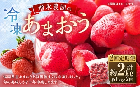 [ 2回定期便 ] 増永農園のあまおう冷凍いちご 約1kg あまおう 冷凍 いちご イチゴ 苺 国産 福岡県産 くだもの 果物 フルーツ 果実 定期 定期便