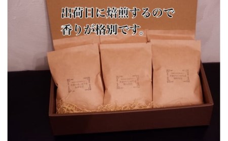 [定期便3回]出荷日焙煎『新鮮珈琲豆(粉に挽いて)』3種 6袋セット