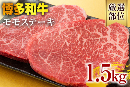 yA4`A5zaXe[L 1.5kg јa 񂹃O  yY B yY  O
