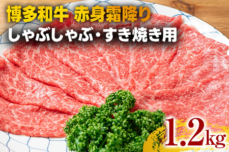 󂠂yA4`A5zaԐg~肵ԂԂĂpiEj1.2kg јa 񂹃O  yY B yY  O