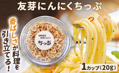 友芽にんにくちっぷ 友芽にんにく にんにく ガーリック にんにくスライス にんにくチップ ガーリックスライス 調味料トッピング サラダ パスタ ラーメン カレー 炒め物 肉 福岡県 福岡 九州 グルメ お取り寄せ メール便（ポスト投函）