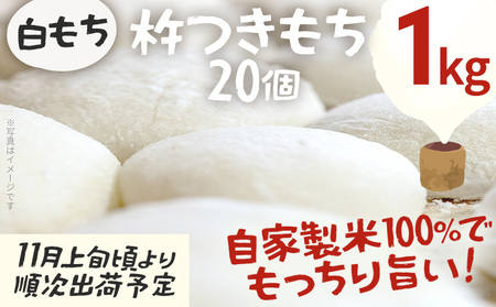  n 20 1kg  11{菇oח\ Ɛ Ђ悭 n ۖ G 邱 Ă Ă 񂴂   B O 