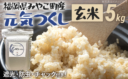 福岡県 みやこ町産 元気つくし (玄米) 5kg [期間限定] 米 チャック付き チャック 真空パック 防虫 ごはん おにぎり おやつ 福岡県 福岡 九州 グルメ お取り寄せ