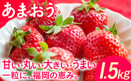 ���܂��� 1.5kg 250g×6�p�b�N������ � �t���[�c �ʕ� �������� ���� �嗱 ������ ���� ��B �O���� ������ 3����{�`4����{���o�ח\��