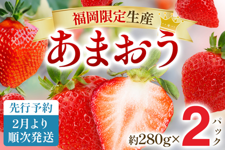 [先行予約2月より順次発送]あまおう グランデサイズ以上 約560g(約280g×2パック) 苺 イチゴ いちご フルーツ 果物 ふるさと納税くだもの ブランド くだもの 福岡県産