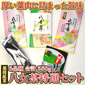 福岡銘茶八女茶 特選セット5種合計550g 老舗製茶店の逸品 吉富町/株式会社マル五[BGAC044] 八女茶 八女茶 八女茶 八女茶 八女茶